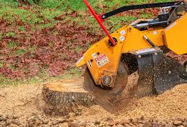  Scobey, MT Tree Care Pros